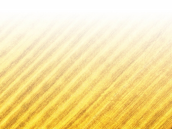 智能農(nóng)機(jī)、“訂單”服務(wù)、“云端”種菜——來自江西的春耕“新事”